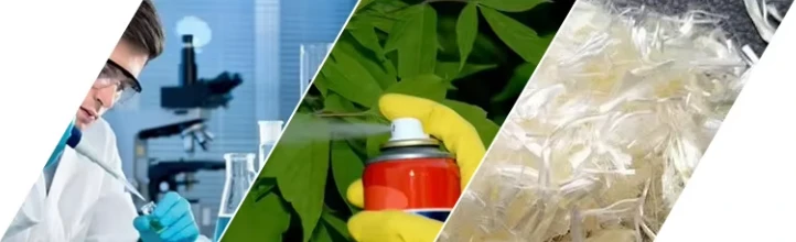 Will Dimethylacetamide Dissolve Plastics? Will Dimethylacetamide Dissolve Plastics?